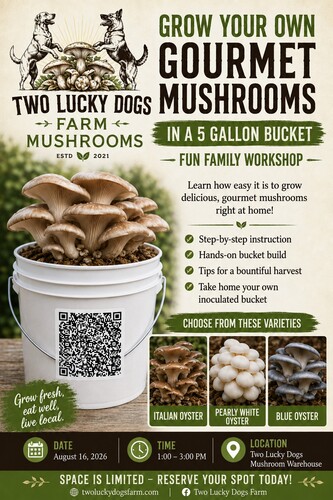 Grow Your Own  Gourmet Oyster Mushrooms! Workshop for the Whole Family poster