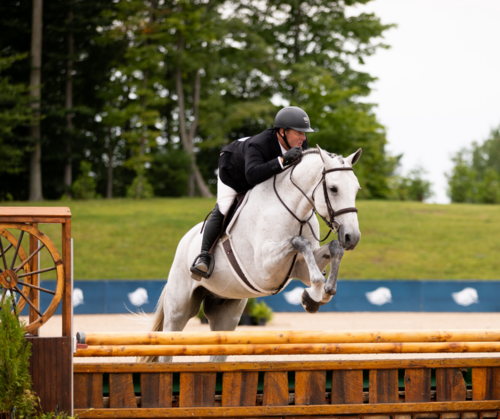 Timeless Elegance in Motion | USHJA International Hunter Derby image