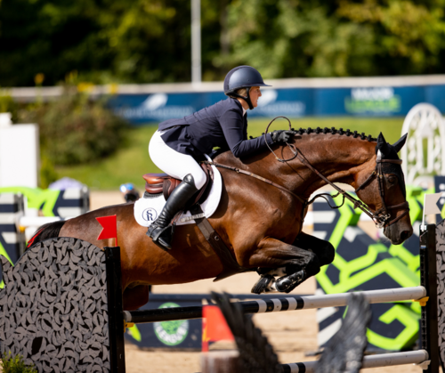 CSIO3* Nations Cup image