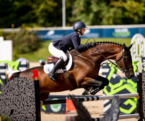  International Showdown | CSIO3* Nations Cup image