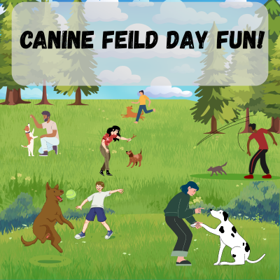 Dog Days of Summer Games poster