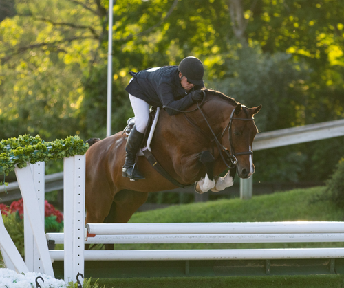 Saturday Evening Hunter Spectacular image
