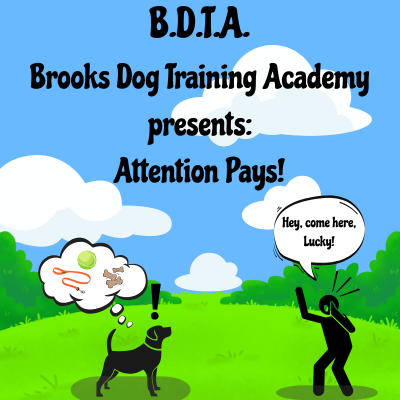 Attention Pays: A Workshop on Engagement & Focus for Dogs poster