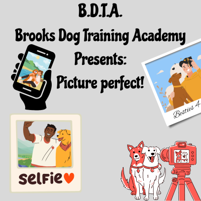 Picture Perfect Pup poster